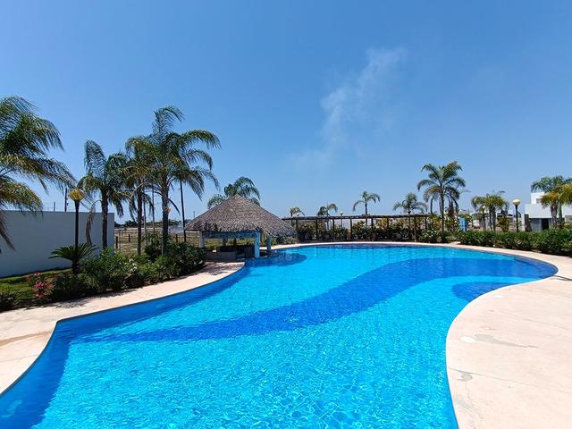 Foto de la galeria de imagenes